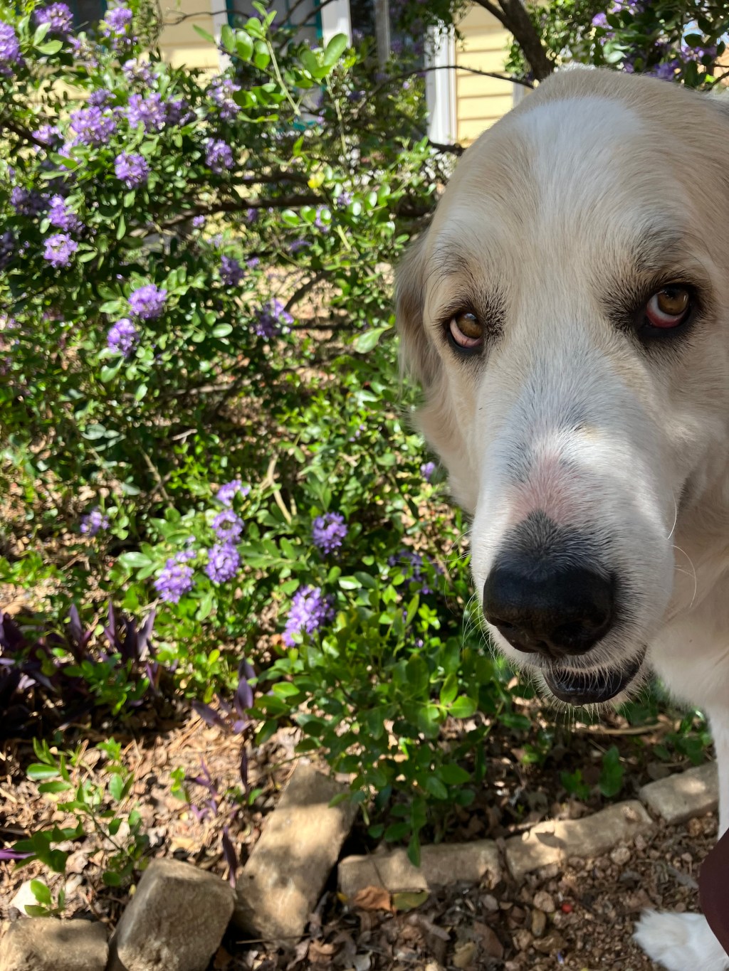 February 2023: Your Urban Wildlife Habitat Matters to Climate&nbsp;Change