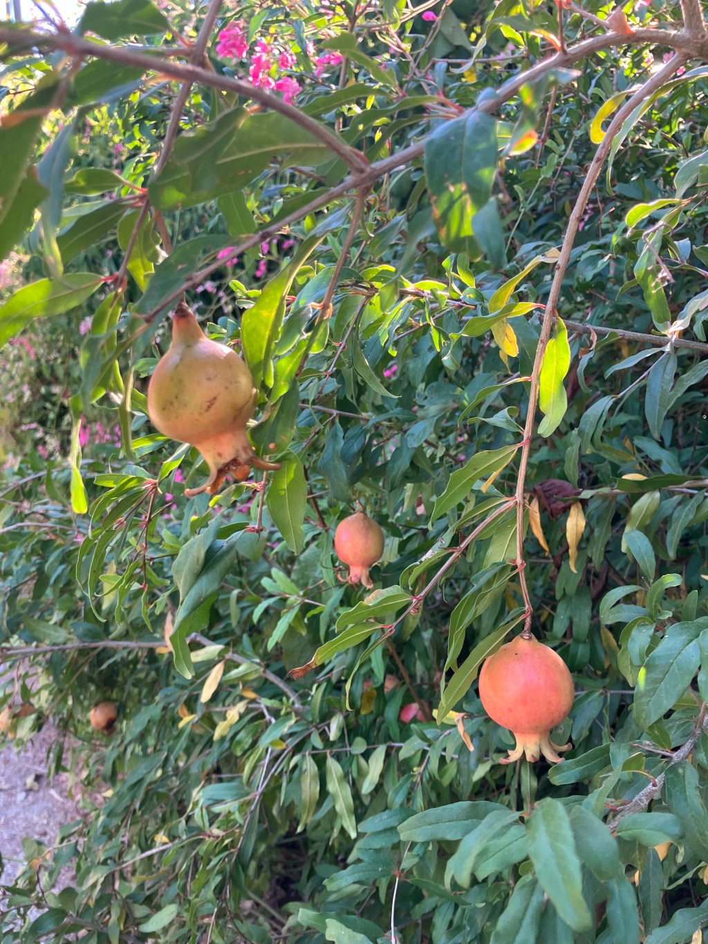 Food Waste Is&nbsp;Frightening