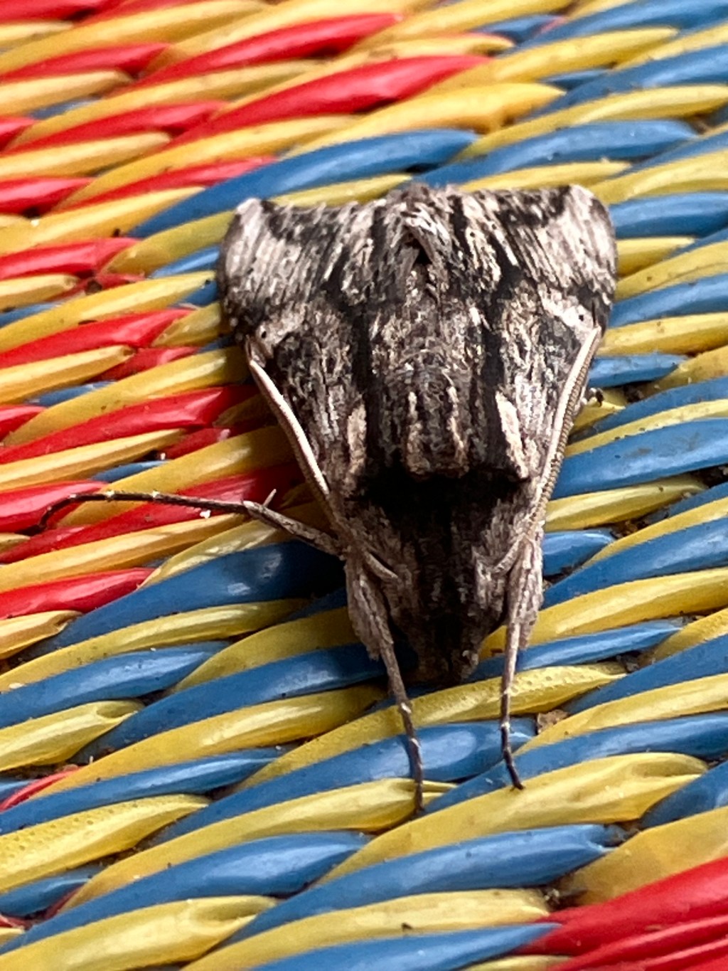 Waste Not, Want Not for&nbsp;Thanksgiving