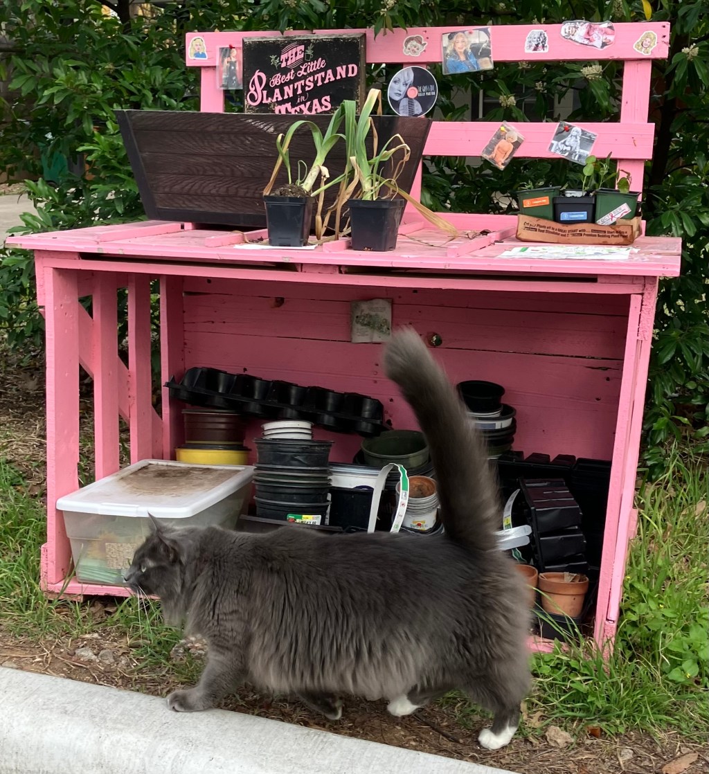 Do No Harm&nbsp;Holidays