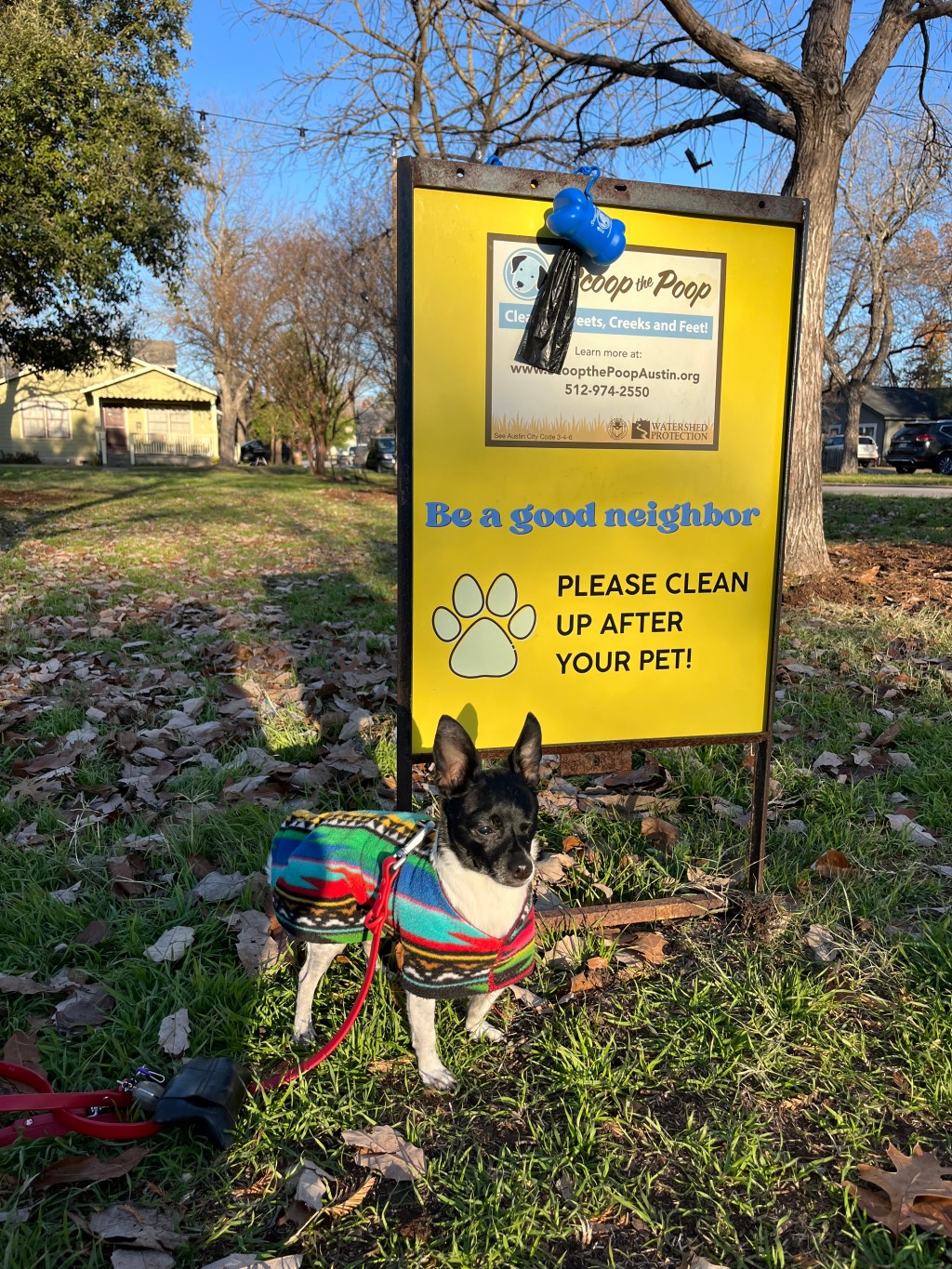 2025 Climate Resolutions: Stewardship Begins at&nbsp;Home