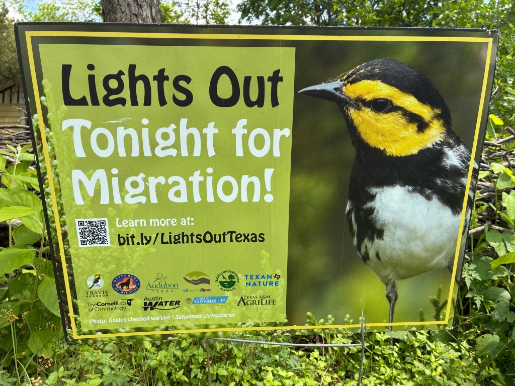 Texans’ Lighting Choices Mean Life or Death to Migratory&nbsp;Birds