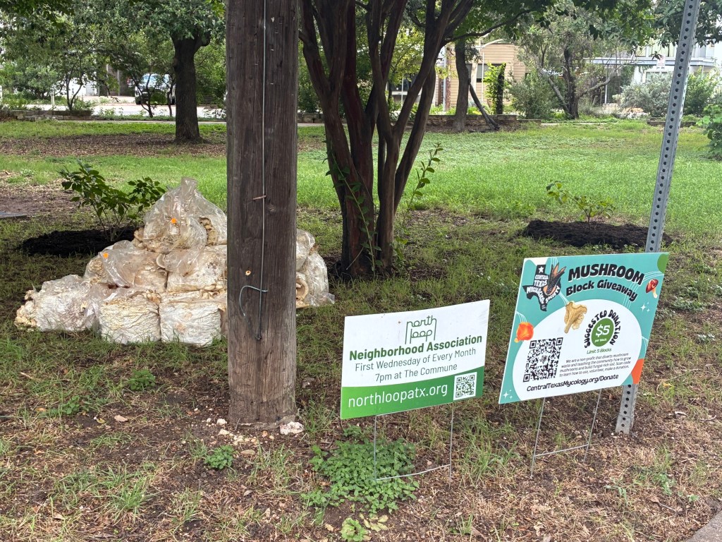 Feed Your Soil Food Web to Help It Hold&nbsp;Water
