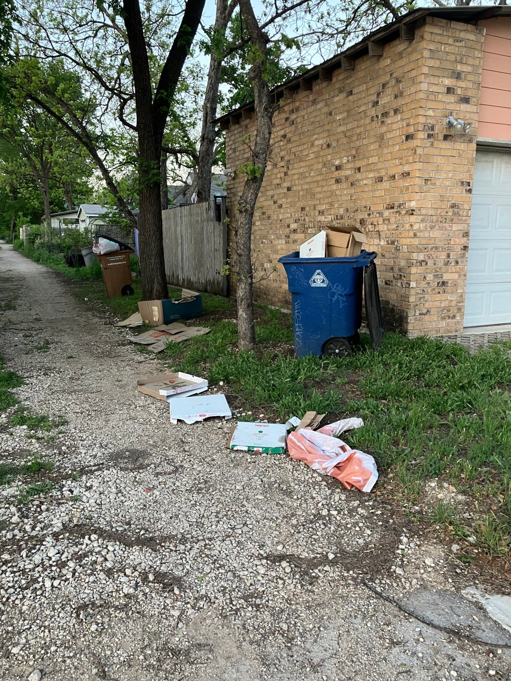 Let’s Talk About&nbsp;Rats