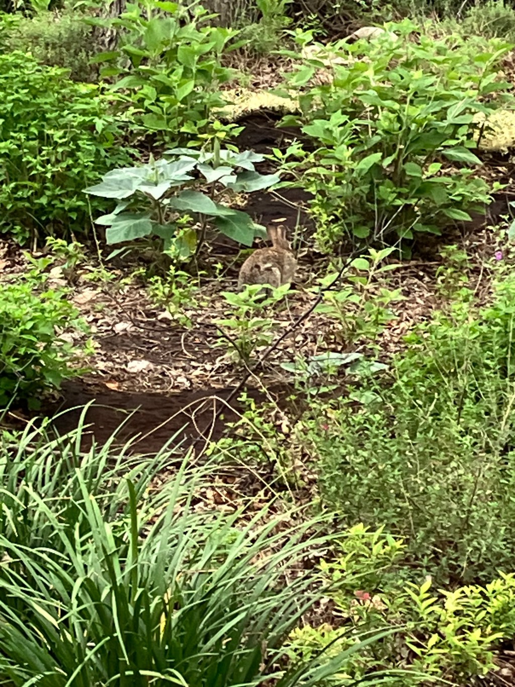 Realistic Individual Climate Resolutions for&nbsp;2026