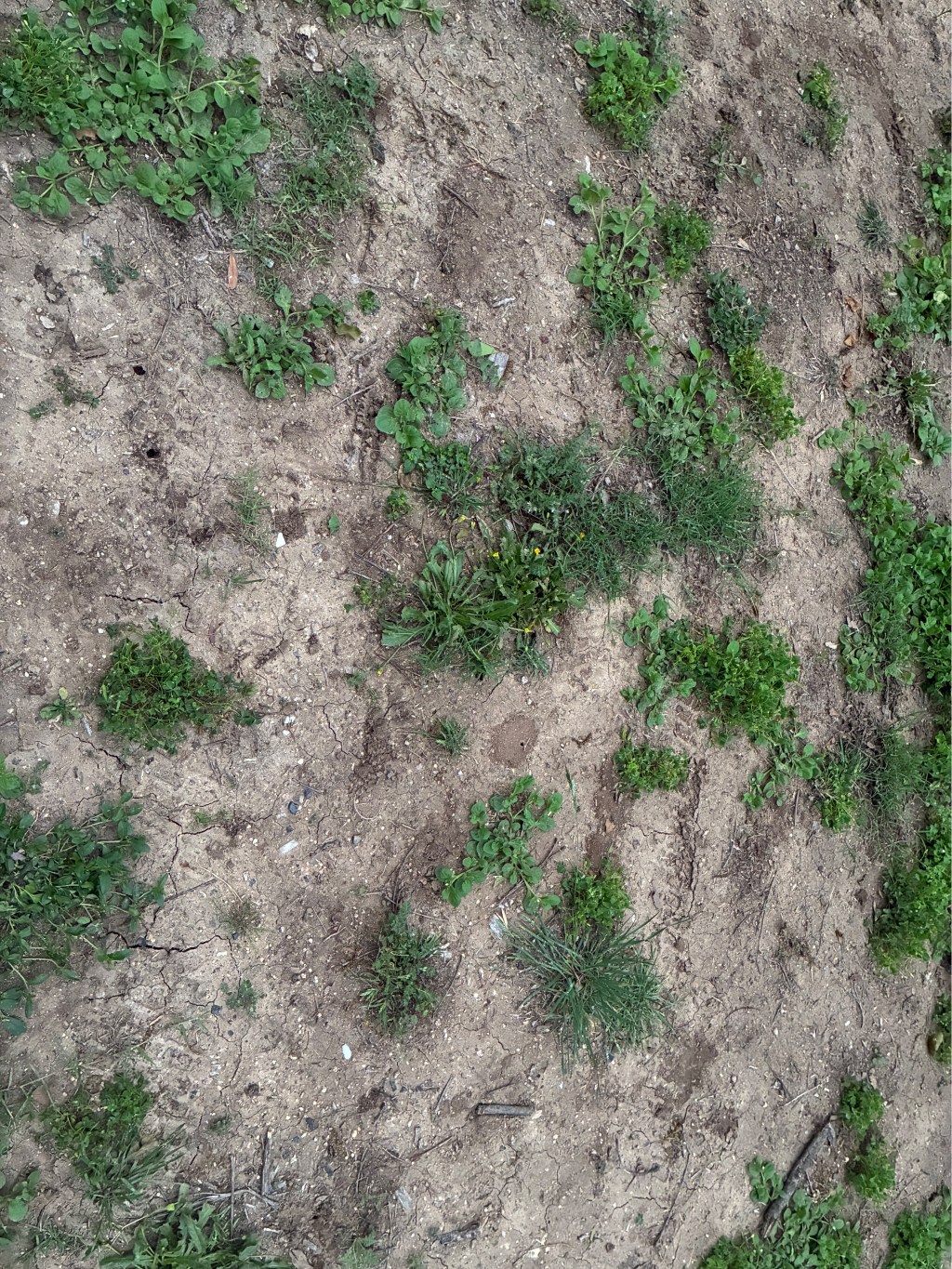 We finally got rain—can your soil retain&nbsp;it?